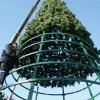 С центральной площади убрали новогоднюю елку