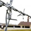 Заключенные свободно разгуливали по Среднебелой