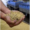 Амурские аграрии оценивают будущий урожай