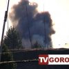 Виновный во взрывах в Серышевском районе установлен Виновный во взрывах в Серышевском районе установлен